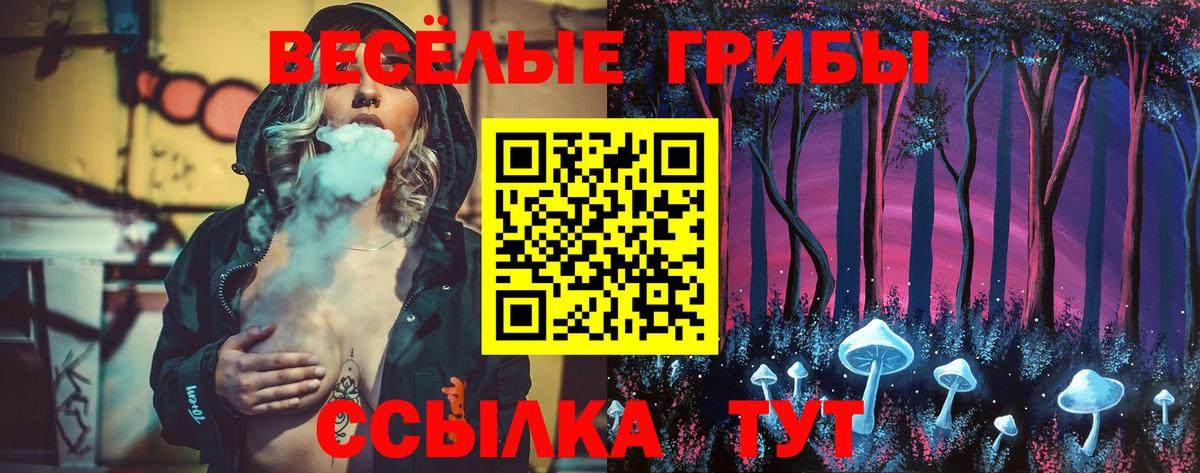 Удомля  Псилоцибиновые грибы Cubensis  Псилоцибиновые грибы мицелий  Вход с VPN 