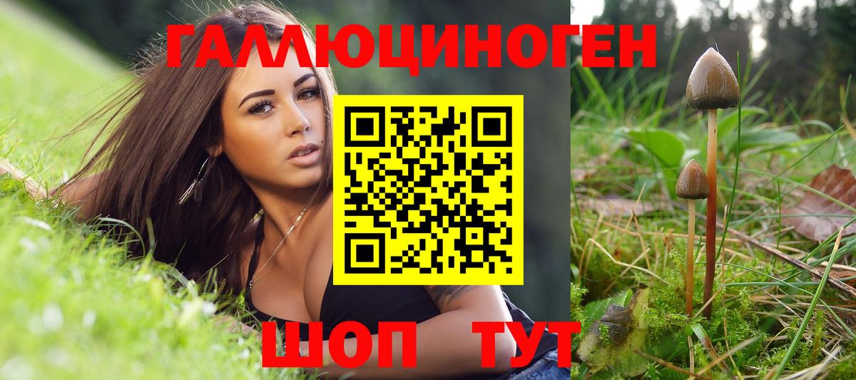 Псилоцибиновые грибы ЛСД Удомля
